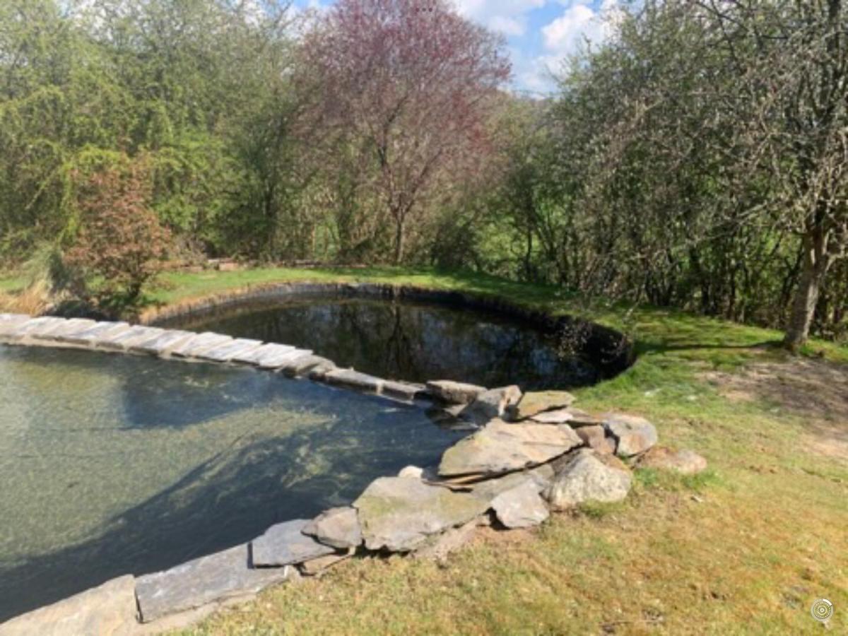 Bryn Melyn Farm Cottages バラ エクステリア 写真