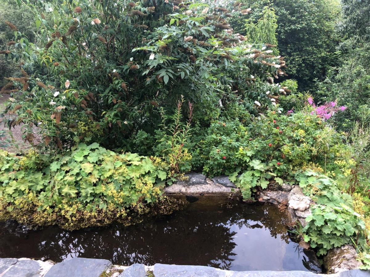 Bryn Melyn Farm Cottages バラ エクステリア 写真